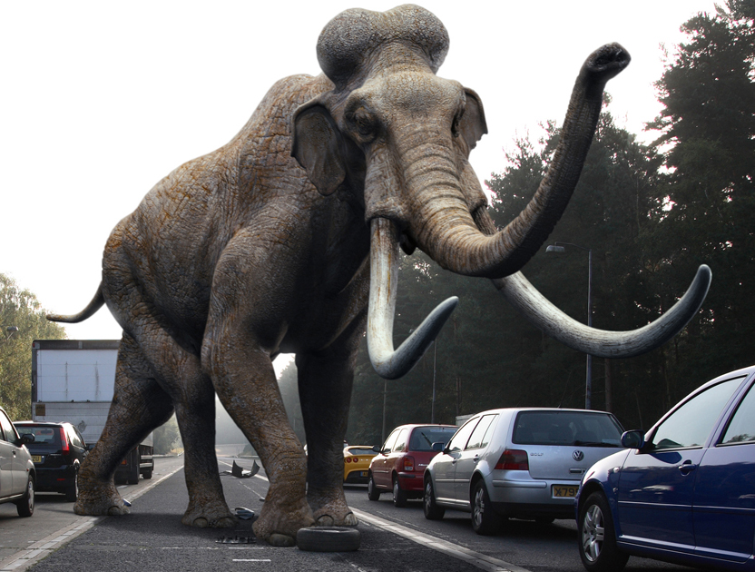 Columbian Mammoth | Anomaly Research Centre | Fandom