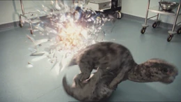 3x3 TwoDiictodonPlaying