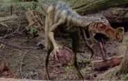 Ornitholestes (Babes in the Woods)