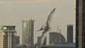 1x5 Pteranodon 48