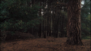 3x10cretaceousForest