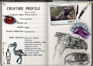 Sketchbook profile: Terror Bird