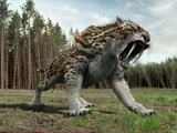 Smilodon