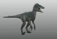 Raptor-model2.png (326 KB) The Raptor model for Series 2, 3 and 4.