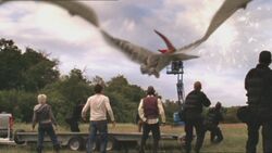 The Pteranodon taking to the skies shortly after waking up
