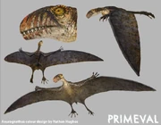 Anurognathus texture model