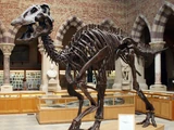 Anatotitan
