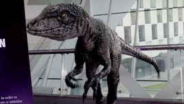 0503RaptorInArtMuseum