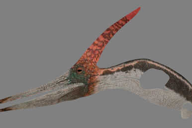 Pterodactyl: A Ameaça Jurássica, Wiki SBTpedia