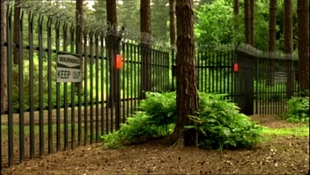 1x6ForestofDeanOriginalAnomalySiteFence