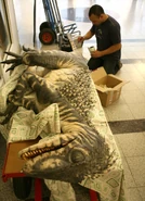 2x1RaptorProp-CrawleyCreaturesinFuerteventura.jpg (199 KB)