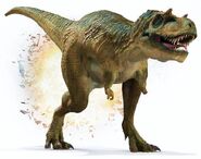 PNW Albertosaurus