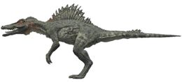 Spino-model