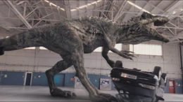 3x4 Giganotosaurus 9