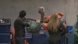 Leggy foraging for food in a dumpster