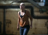 Gallery 3 (28).jpg (2.57 MB)