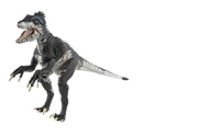 Raptor Figure