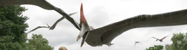 PteranodonPromo
