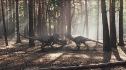 3x10raptors1