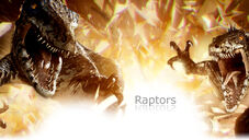Raptors promo