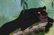 Bagheera TJB