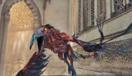 Vultures