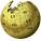 Wikipedia logo gold