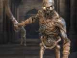 Wraiths