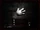 White Glove