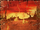 Wounded Lands