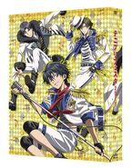 Tenipuri Fesitval DVD cover (Deluxe Version)