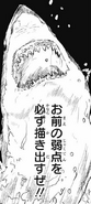 Shark