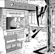 Boule de Riz