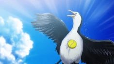 Dorgias' shot hits a Cormorant