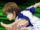 Higuma Otoshi
