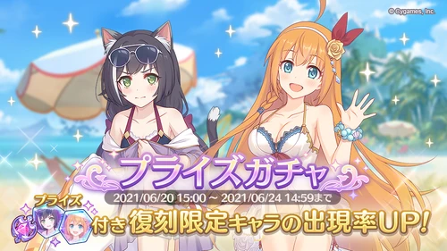 Princess Connect Re:Dive Wiki