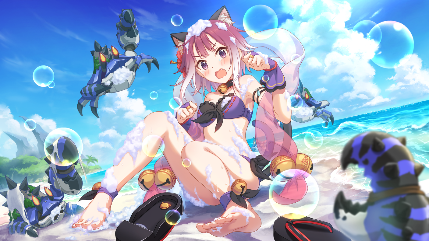 Tamaki Summer Story Cover Princess Connect Re Dive Wiki Fandom