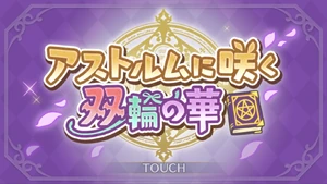 Blooming Duet Flowers of Astrum