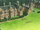 The Farm