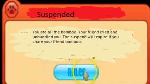 Funny Animal Jam Bans