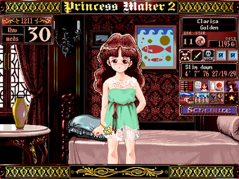 princess maker 2 switch