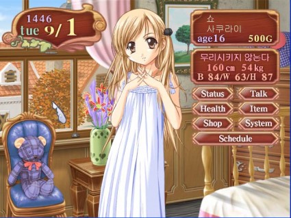 Princess Maker 4 | Princess Maker Wiki | Fandom