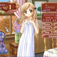 Princess Maker 4 Princess Maker Wiki Fandom