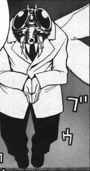 Flyman.jpg