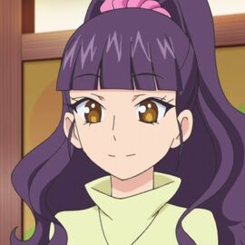 Mrs Minami Pripara Wiki Fandom