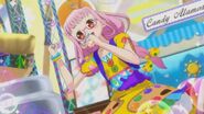 PriPara (120)