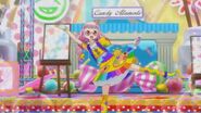 PriPara (116)