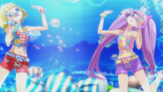 PriPara-08-Performance8