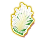 Dressing Pafé Pop Fortune