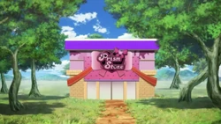 Prism Stone | PriPara Wiki | Fandom